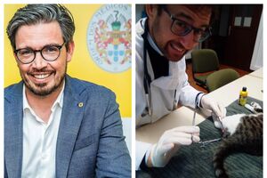 Ordem dos Médicos Veterinários participa de Pedro Frazão por castração ilegal de gato