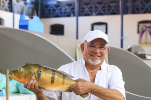 Vendedor exibe peixe pirarucu no mercado Ver-o-Peso, em Belém, Brasil