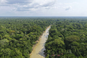 Belém acolhe a COP 30 e o novo hotel português no Brasil, na Amazónia