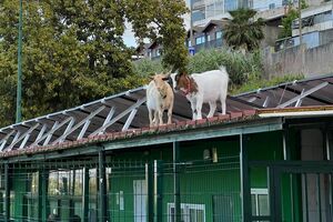 As Marias a explorar as alturas do Operário