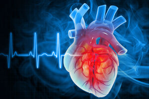 Os AVC hemorrágicos são menos frequentes do que os isquémicos: ocorrem em apenas 15% dos casos 