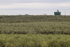 Makoi, suspeito de tráfico humano na Cabeça Gorda, é acusado de crimes contra imigrantes. Vista das herdades em torno da Cabeça Gorda