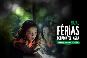 Férias de Natal com vista para o fundo do mar. O Oceanário de Lisboa volta a abrir portas aos mais novos