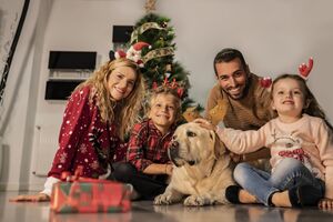 Visitas, barulho e casa cheia. Temos algumas dicas para ajudar a reduzir o stress dos animais durante esta época