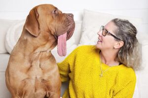 Um novo recorde do Guiness! Conheça o Ozzy, o cão com a língua mais comprida do mundo