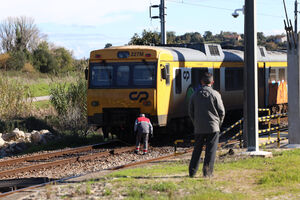 Comboio envolvido em incidente no ramal de Alfarelos, com ovelhas