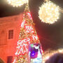 Árvore de Natal volta a iluminar o bairro cristão da Cidade Velha de Jerusalém