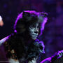 Cinco razões para ver o musical 'Cats'