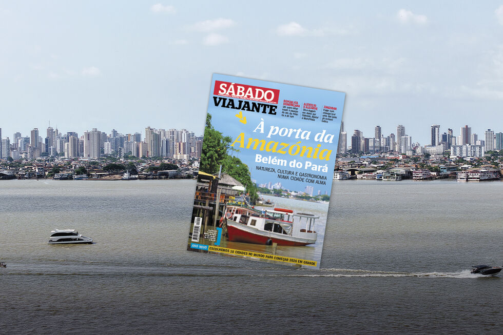 Revista viajante