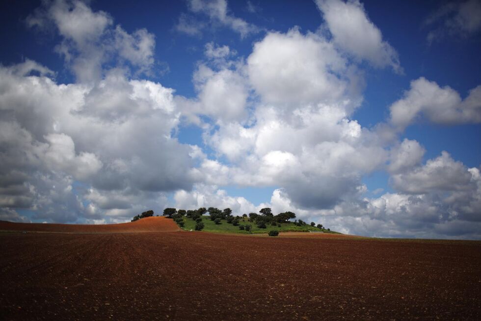 Temperaturas estarão acima do normal até fevereiro