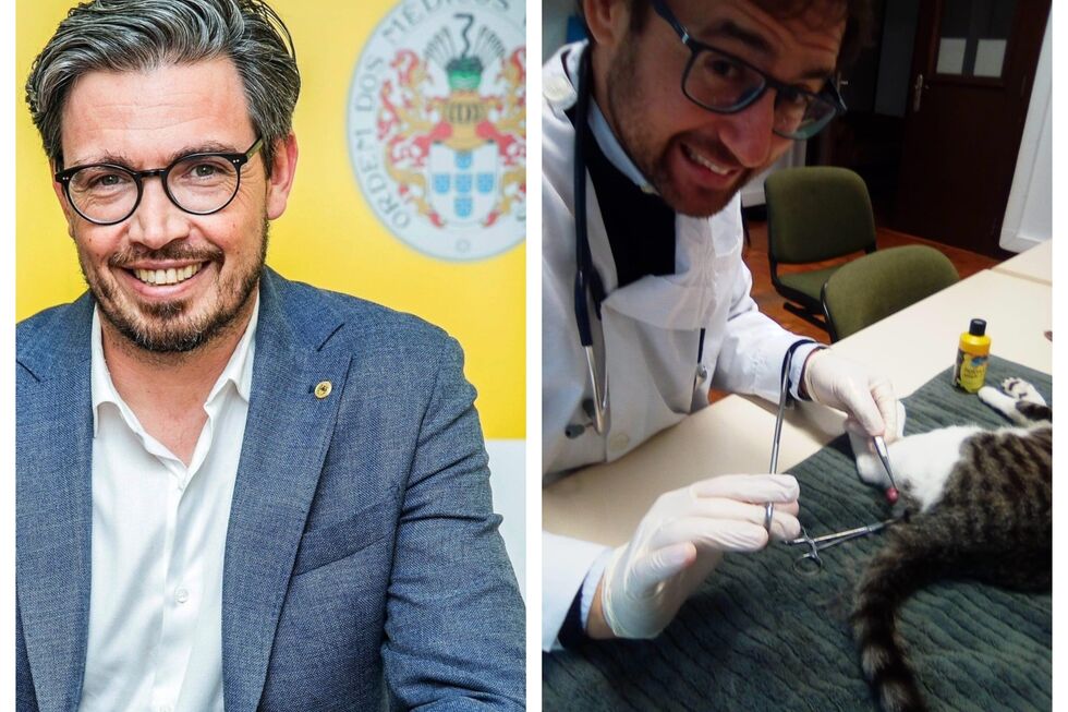 Ordem dos Médicos Veterinários participa de Pedro Frazão por castração ilegal de gato