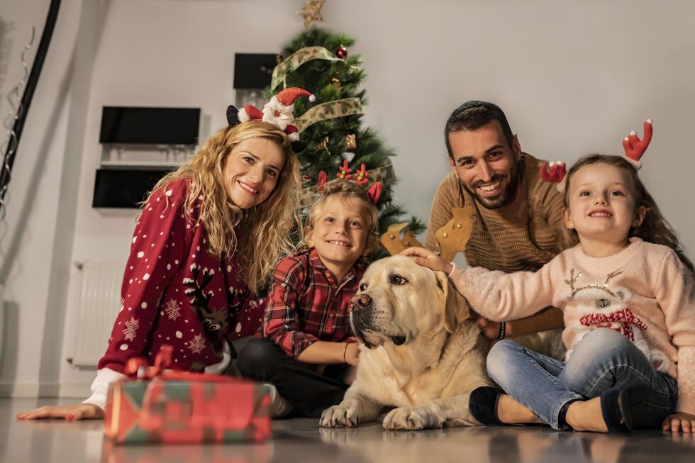 Visitas, barulho e casa cheia. Temos algumas dicas para ajudar a reduzir o stress dos animais durante esta época