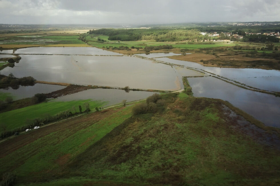 Apoio de 15 ME para agricultores investirem em energias renováveis através do Fundo Ambiental e IFAP