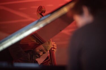 Nova 'casa' da Fidelidade vai abrir à cidade