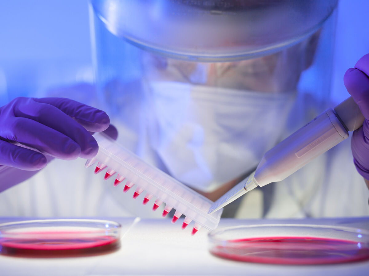 O perigo dos vírus silenciosos 