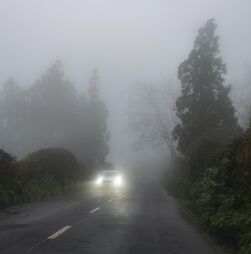 Distritos de Bragança, Guarda e Vila Real sob aviso amarelo devido a nevoeiro