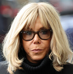 Dez pessoas condenadas por cyberbullying contra Brigitte Macron