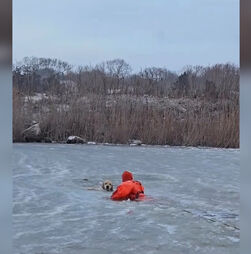 Bombeiro atravessa lago gelado para salvar cão 