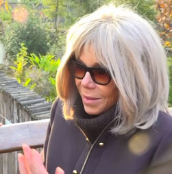 Dez pessoas condenadas por cyberbullying contra Brigitte Macron. O que está em causa?