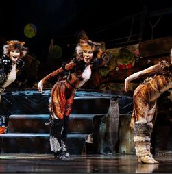 MUSICAL INTERNACIONAL CATS REGRESSA A 6 DE JANEIRO 