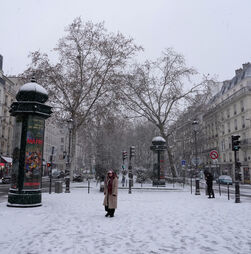 Pelo menos cinco mortos nas estradas em França devido aos nevões