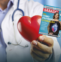 Novas descobertas para tratar o coração