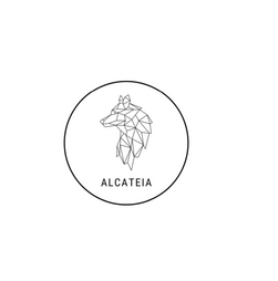 CONVERSAS SOBRE CRESCIMENTO EMPRESARIAL