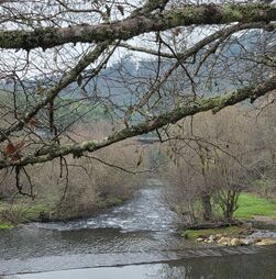 Centro de Portugal lidera turismo náutico com nova estação