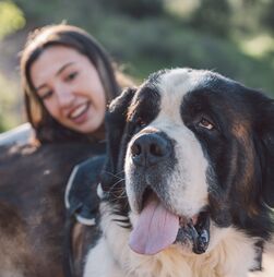 Gosta de cães mas têm que ser grandes? Conheça 5 das maiores raças do Mundo