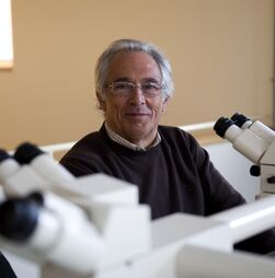 Dois terços das pessoas que têm cancro já não morrem da doença, avança investigador