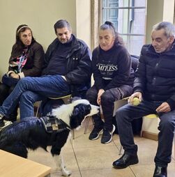 Cães podem ser os novos apoios de vítimas de violência doméstica. Cáritas de Braga lança projeto-piloto inovador