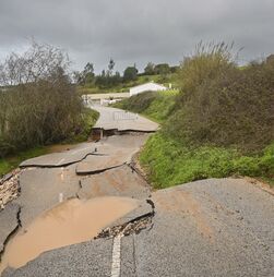 Lisboa contabiliza 56 ocorrências sobretudo quedas de árvores devido ao mau tempo