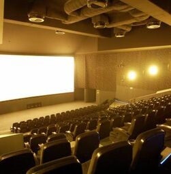 Cineclubes e associações apelam ao reforço de apoios à exibição cinematográfica