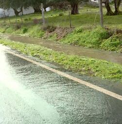 Castelo Branco ativa Plano Municipal de Emergência e encerra escolas por precaução