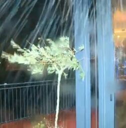 Vento forte em Coimbra 'impossibilita' equipa da CMTV de fazer reportagem no exterior