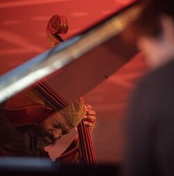 Nova “casa” da Fidelidade vai abrir à cidade