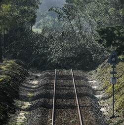 Mau tempo: Linhas ferroviárias do Norte, Douro, Beira Baixa e Oeste ainda com interrupções