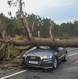 Governo decreta o estado de calamidade. O que significa e que o muda?