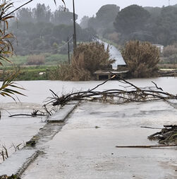 Mau tempo: Governo vai abrir apoio a agricultores com taxas que podem chegar a 100%