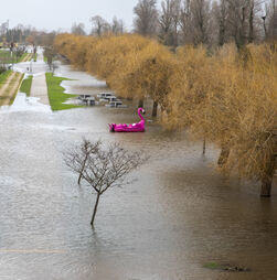 Mau tempo. Portugal não recorreu ao mecanismo europeu porque meios nacionais não estão esgotados