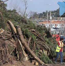 Mau tempo: Declaração de calamidade publicada em Diário da República com 60 concelhos na lista