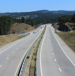 Mau tempo: Risco de 'derrocada de grandes dimensões' leva a corte total da A24 em Lamego