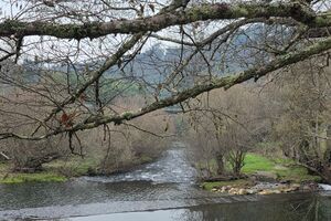 Turismo náutico cresce no Centro de Portugal com estação certificada