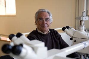 O investigador Manuel Sobrinho Simões