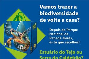 Lidl e WWF protegem a biodiversidade em Portugal, com foco no Estuário do Tejo ou Serra do Caldeirão