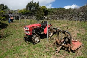 Acordo preocupa agricultores portugueses