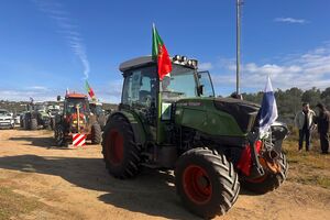 Acordo UE-Mercosul prevê redução de tarifas para azeite e vinho portugueses