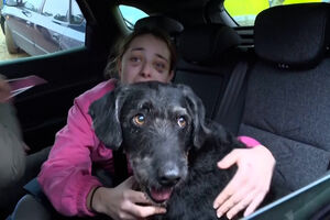 A emoção do reencontro entre Ana e ‘Boro’, o cão desaparecido após colisão entre comboios em Espanha  