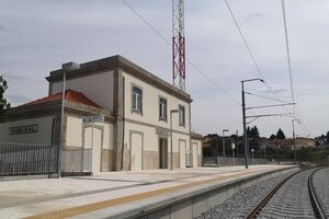 Circulação ferroviária retomada na Linha do Minho após suspensão por queda de árvore