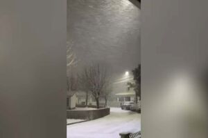 Portugueses captam imagens da neve de norte a sul do país